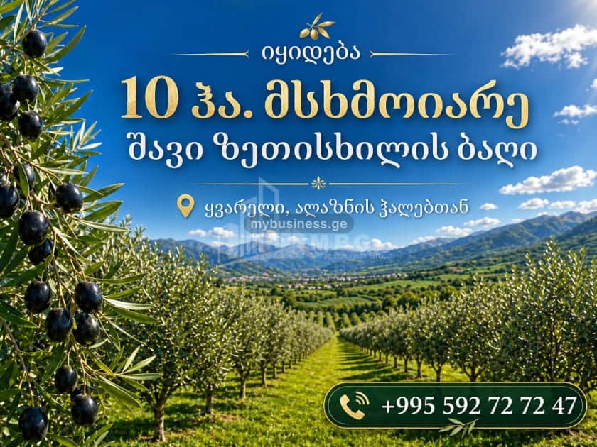 იყიდება მიწის ნაკვეთი ყვარელში (1/15)