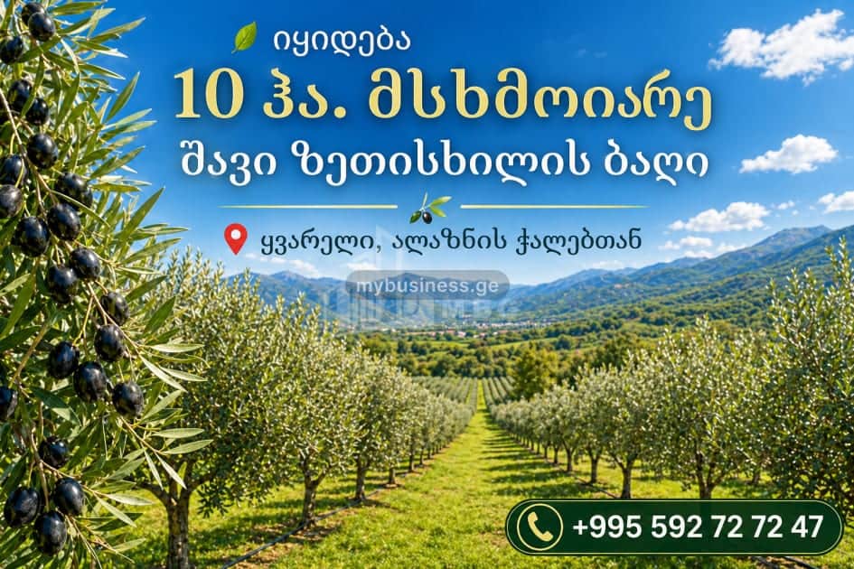 იყიდება მიწის ნაკვეთი ყვარელში (2/15)