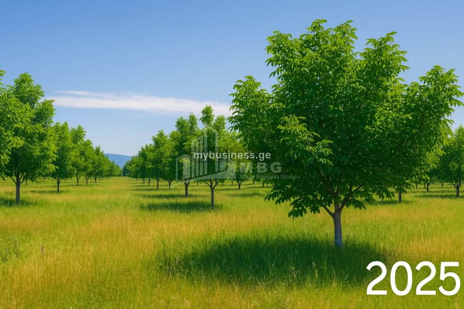 იყიდება აგრობიზნესი კასპში (12/20)