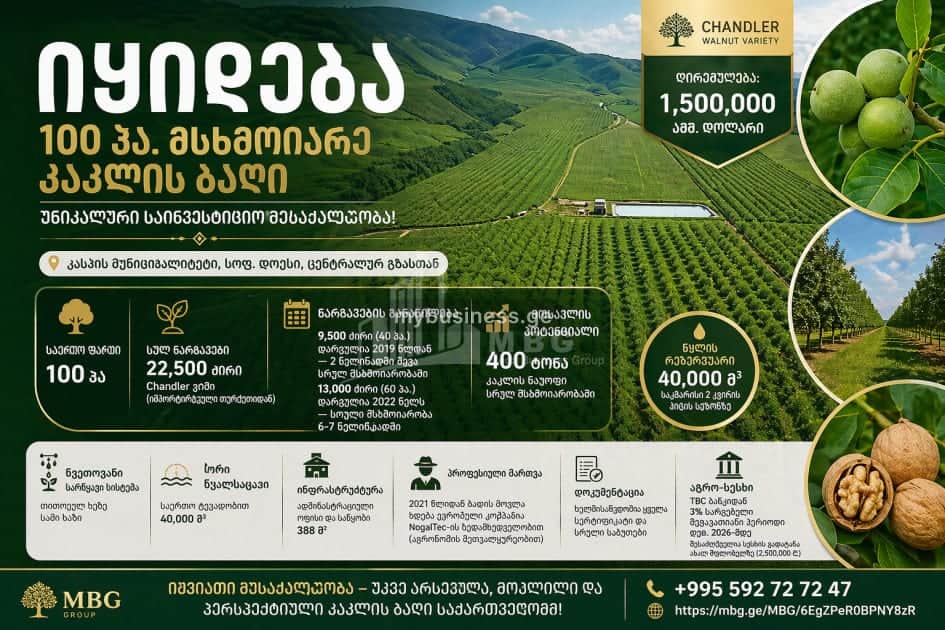 იყიდება აგრობიზნესი კასპში (2/20)