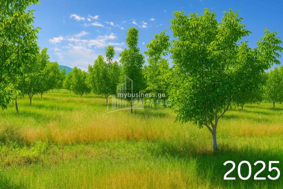 იყიდება აგრობიზნესი კასპში (10/20)
