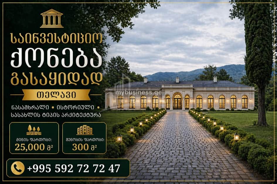 იყიდება ღვინის ქარხანა თელავში (1/11)