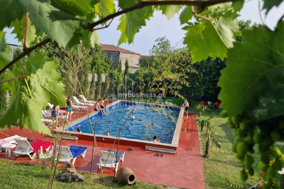 იყიდება სასტუმრო ყვარელში (8/20)