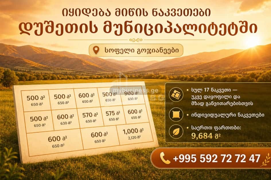 იყიდება მიწის ნაკვეთი (1/8)
