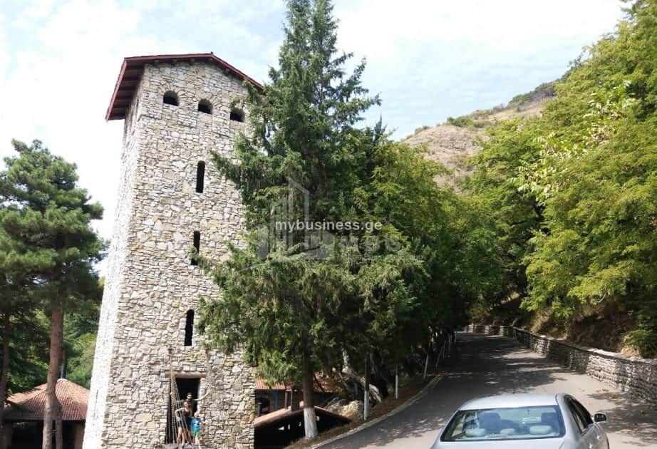 იყიდება მიწის ნაკვეთი ყვარელში (13/20)