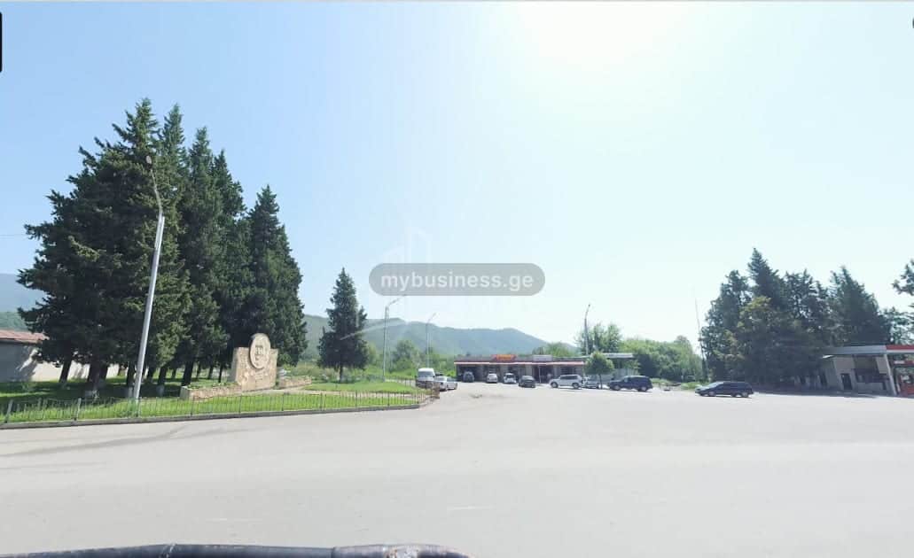 იყიდება მიწის ნაკვეთი ყვარელში (14/20)
