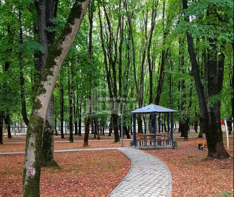 იყიდება მიწის ნაკვეთი ყვარელში (15/20)
