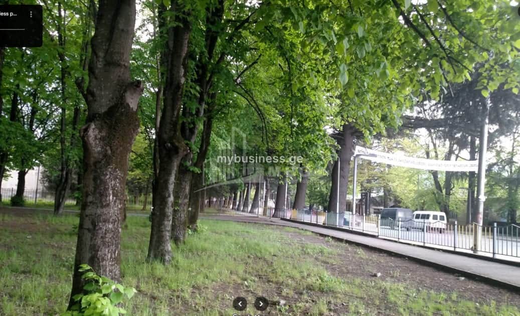 იყიდება მიწის ნაკვეთი ყვარელში (17/20)