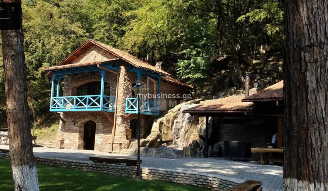იყიდება მიწის ნაკვეთი ყვარელში (19/20)
