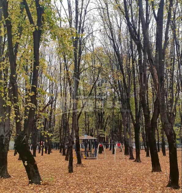 იყიდება მიწის ნაკვეთი ყვარელში (20/20)