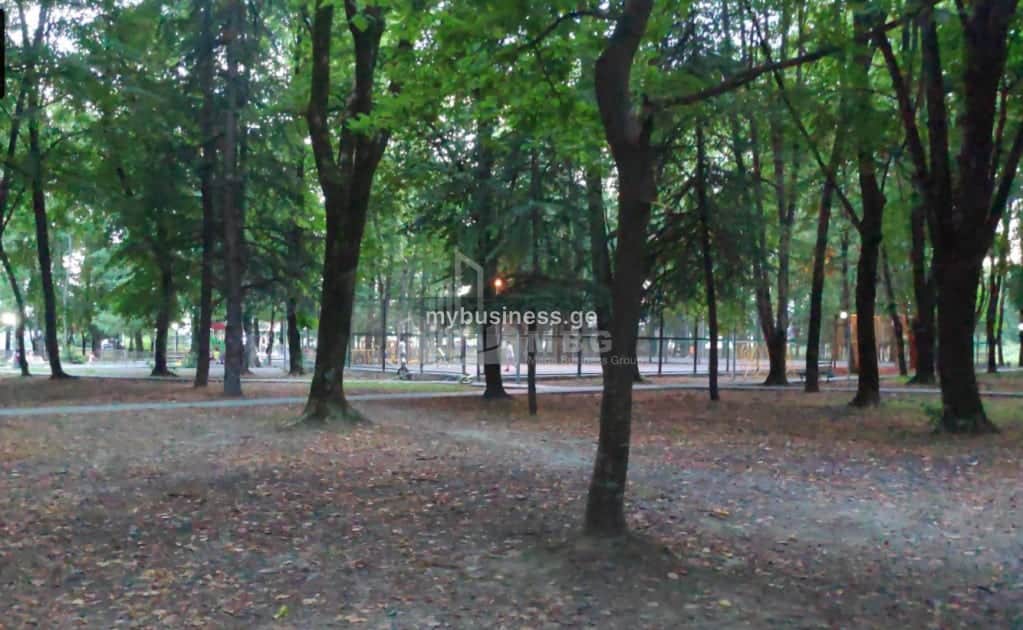 იყიდება მიწის ნაკვეთი ყვარელში (8/20)