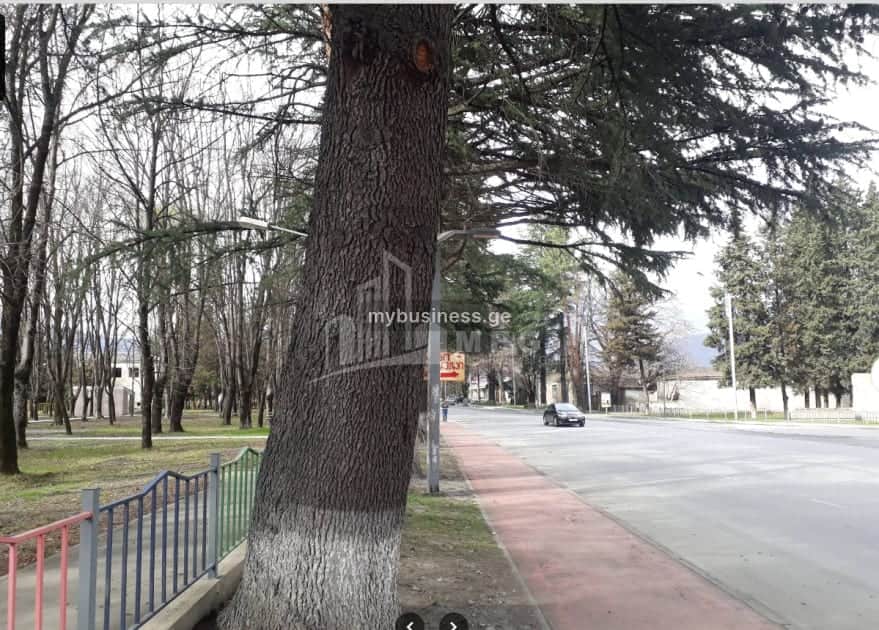 იყიდება მიწის ნაკვეთი ყვარელში (9/20)