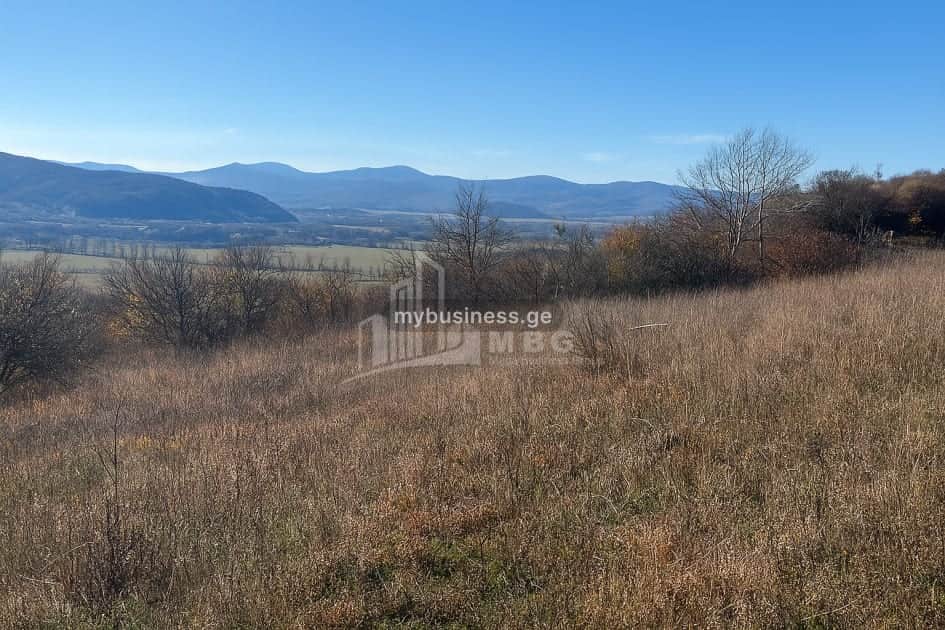იყიდება მიწის ნაკვეთი (8/11)