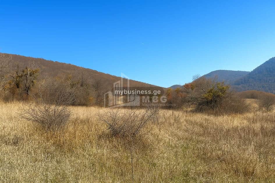 იყიდება მიწის ნაკვეთი (9/11)