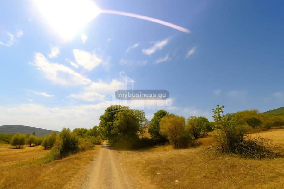 იყიდება მიწის ნაკვეთი (10/11)