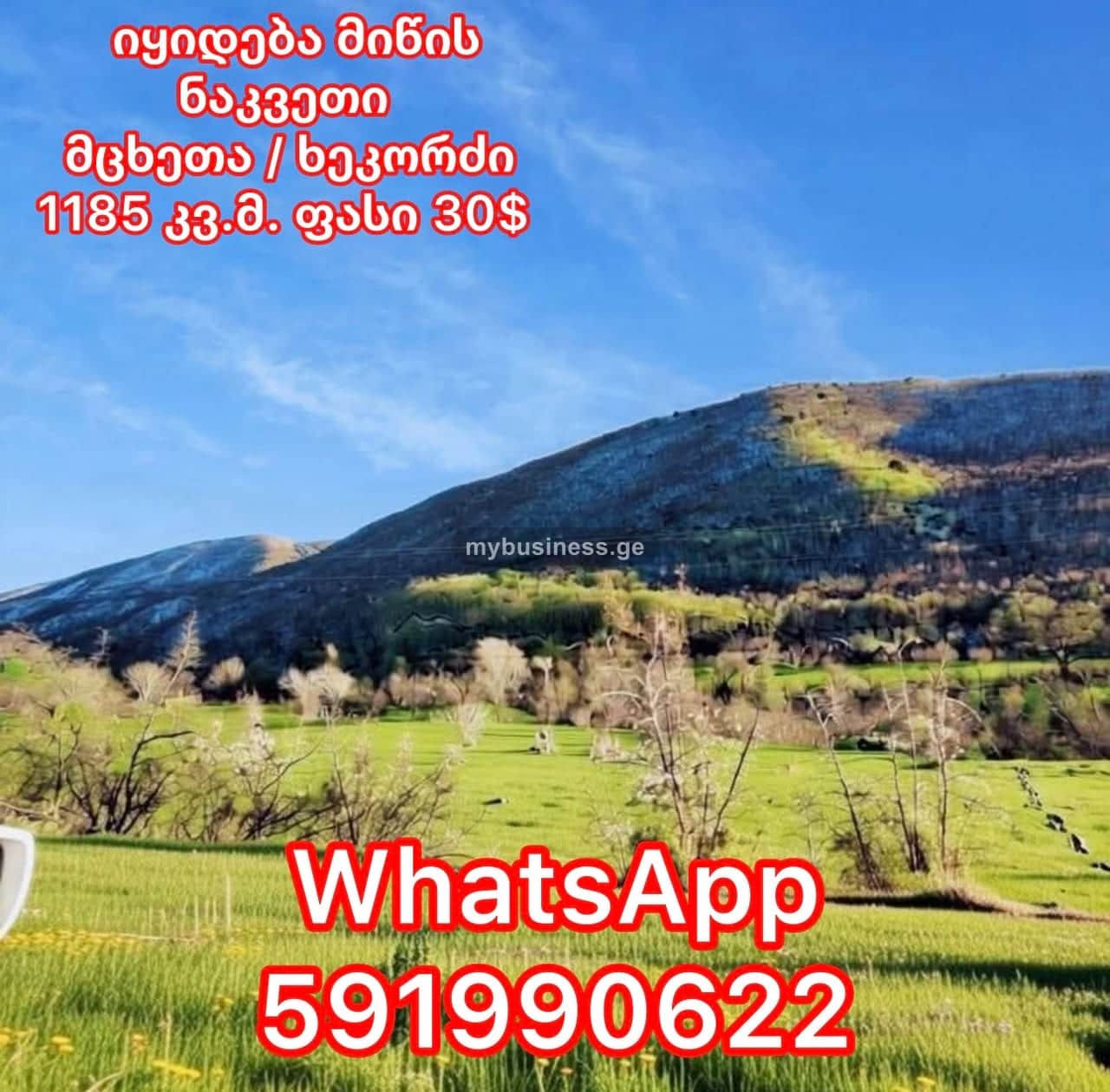 იყიდება მიწის ნაკვეთი