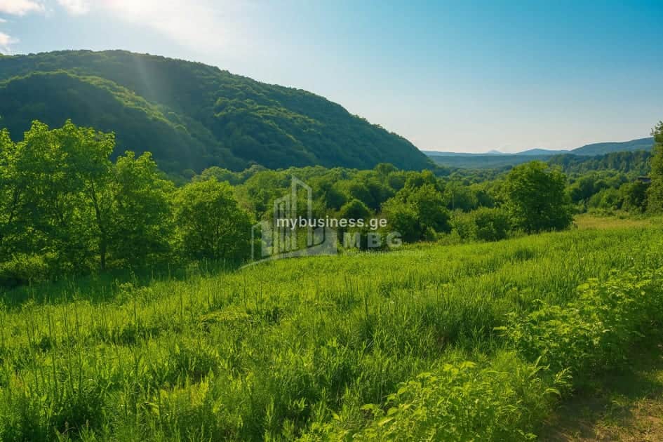იყიდება მიწის ნაკვეთი (8/12)