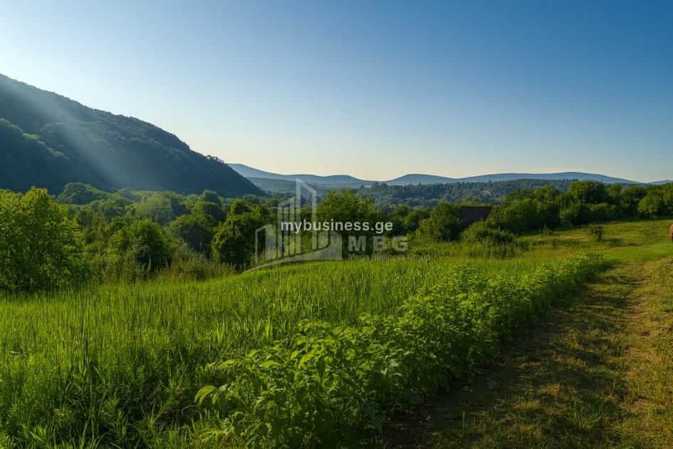 იყიდება მიწის ნაკვეთი (9/12)