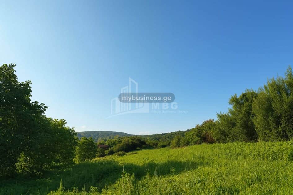 იყიდება მიწის ნაკვეთი (10/12)