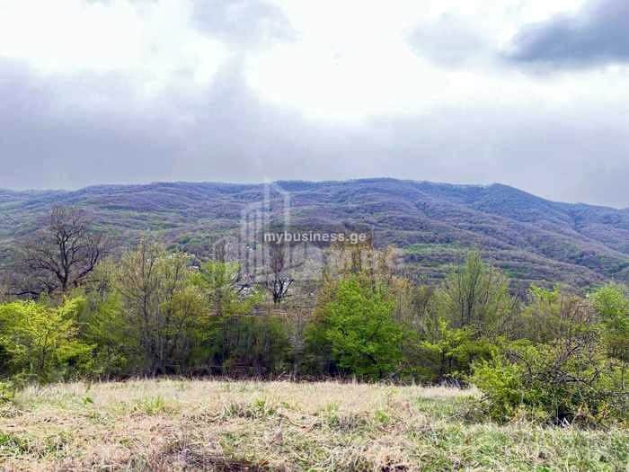 იყიდება მიწის ნაკვეთი (2/5)