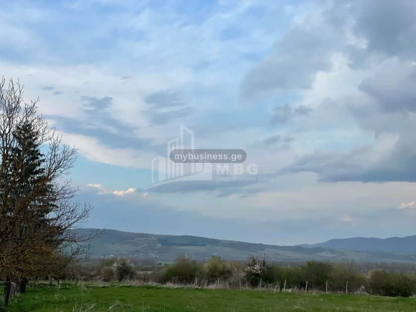 იყიდება მიწის ნაკვეთი (3/9)