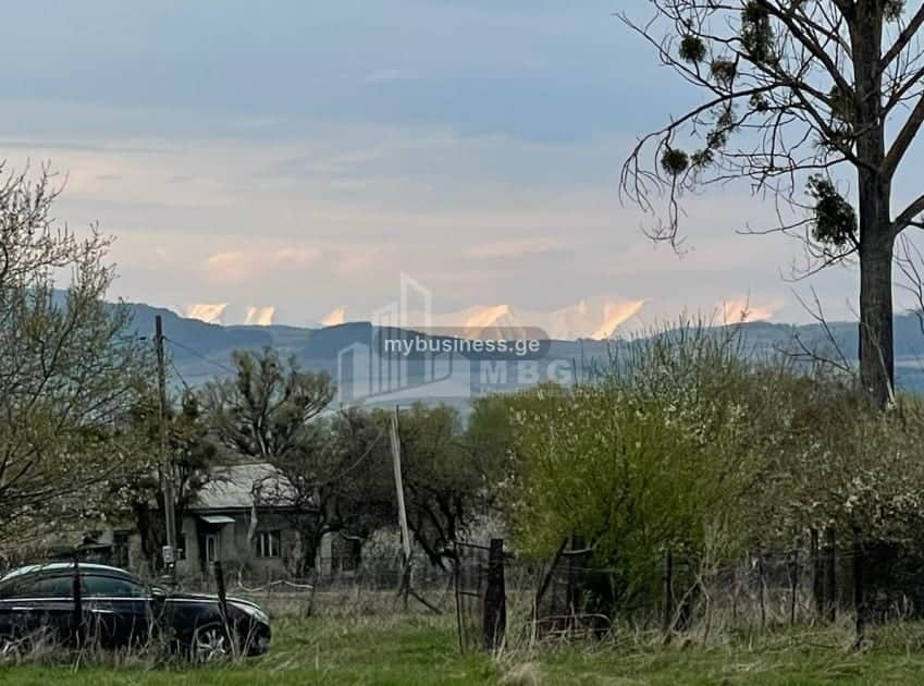 იყიდება მიწის ნაკვეთი (6/9)