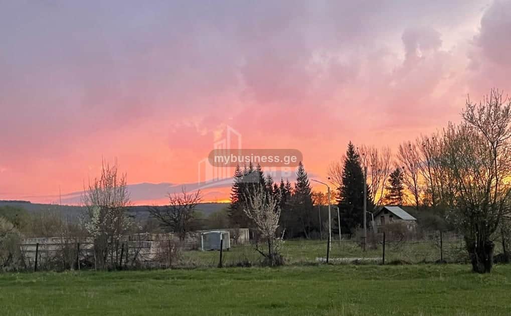 იყიდება მიწის ნაკვეთი (8/9)