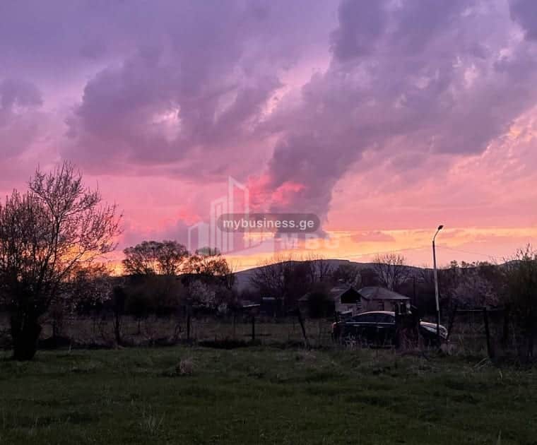 იყიდება მიწის ნაკვეთი (9/9)
