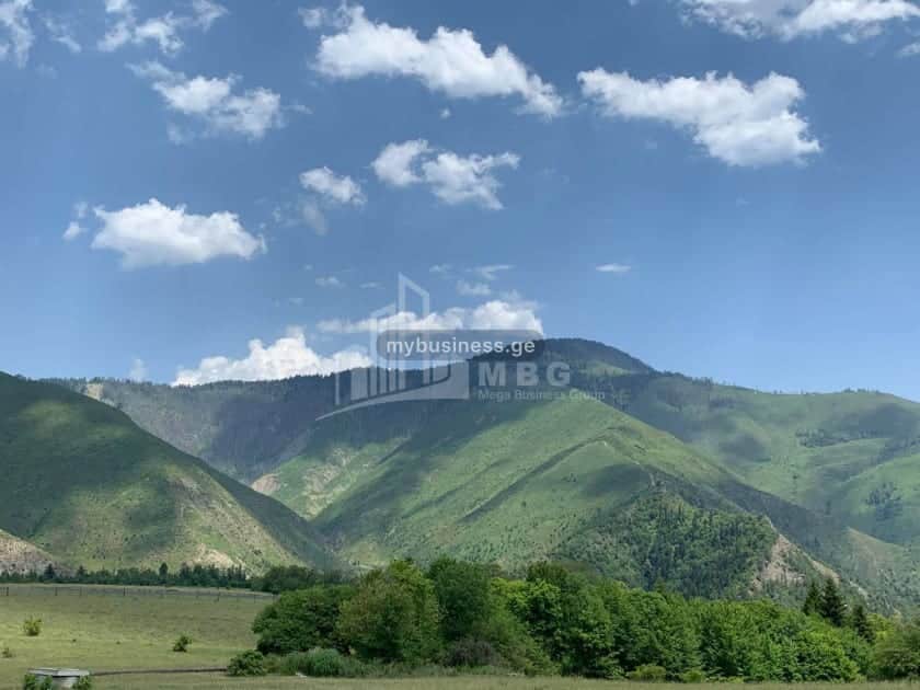 იყიდება სასტუმრო ბორჯომში (2/6)