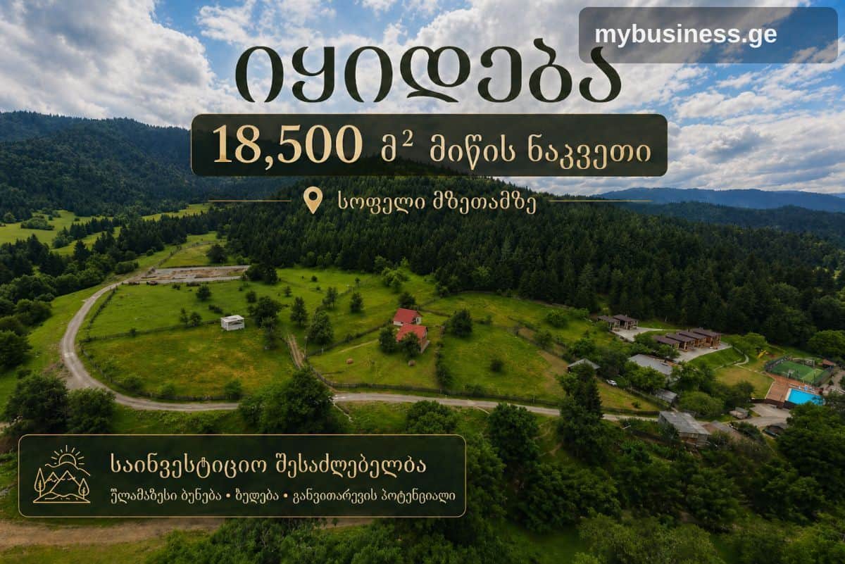 იყიდება მიწის ნაკვეთი ბორჯომში