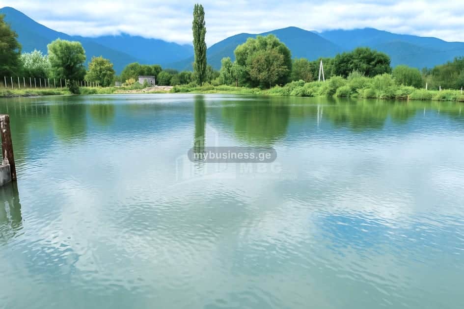 იყიდება აგრობიზნესი თელავში (11/20)