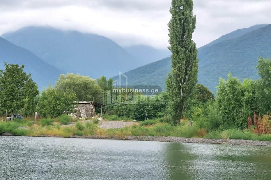 იყიდება აგრობიზნესი თელავში (13/20)