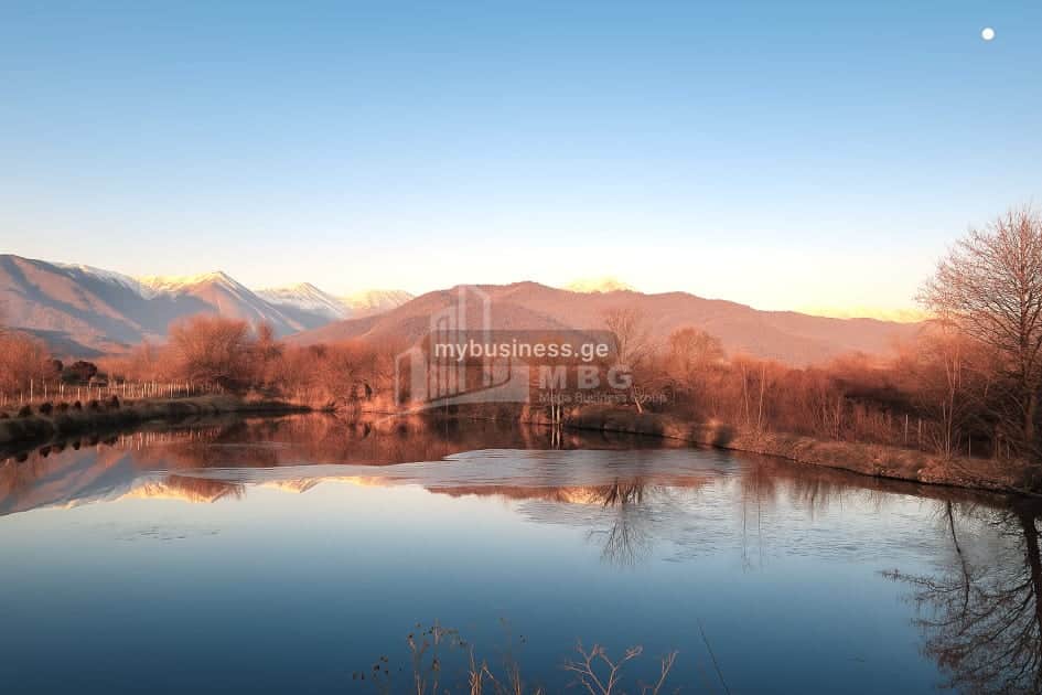 იყიდება აგრობიზნესი თელავში (14/20)