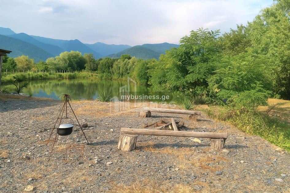 იყიდება აგრობიზნესი თელავში (16/20)