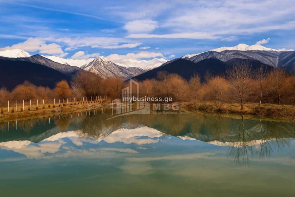 იყიდება აგრობიზნესი თელავში (18/20)