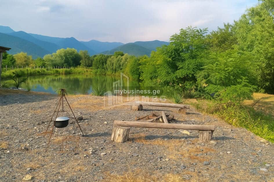 იყიდება აგრობიზნესი თელავში (20/20)