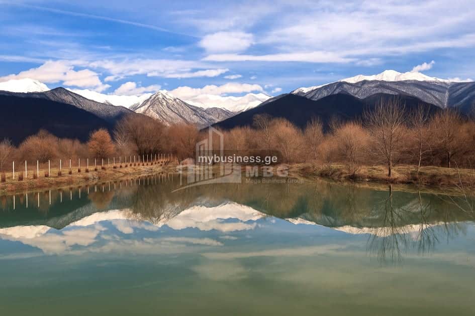 იყიდება აგრობიზნესი თელავში (9/20)