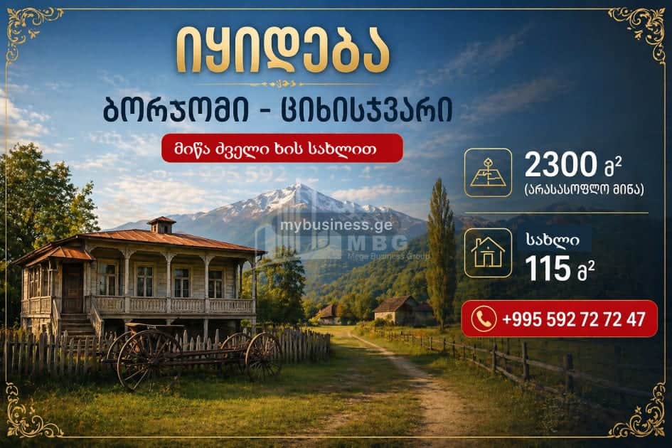იყიდება მიწის ნაკვეთი ბორჯომში (1/8)