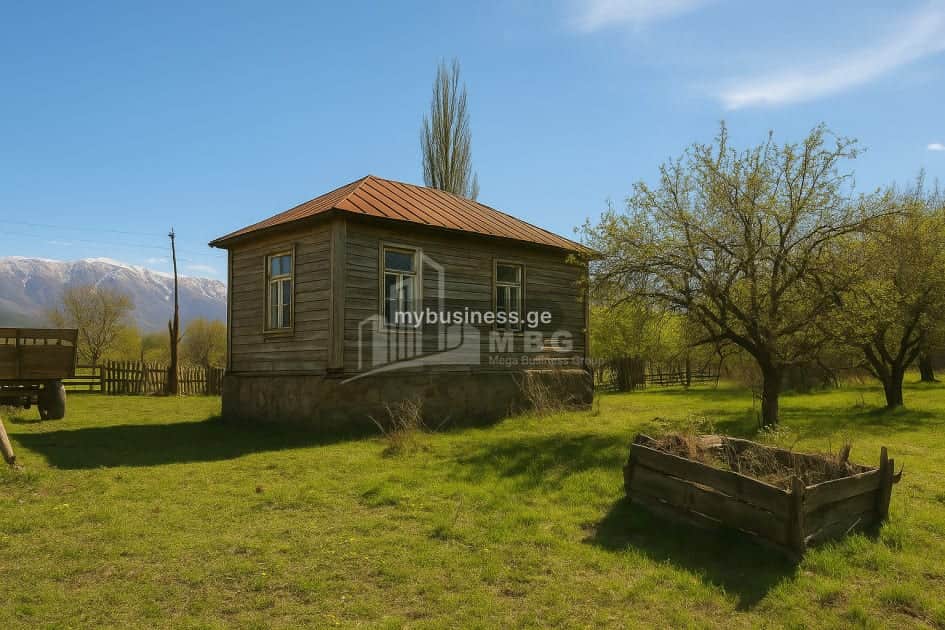 იყიდება მიწის ნაკვეთი ბორჯომში (8/8)
