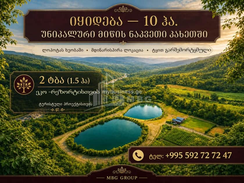 იყიდება მიწის ნაკვეთი თელავში (1/4)
