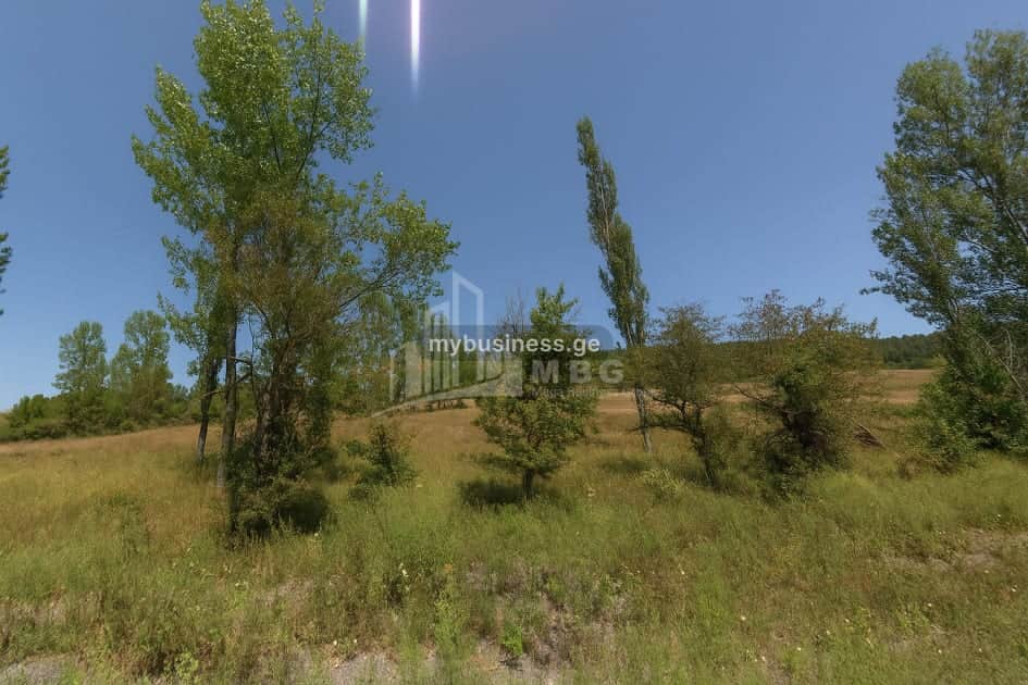 იყიდება მიწის ნაკვეთი (4/8)