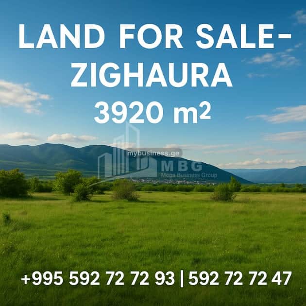 იყიდება მიწის ნაკვეთი (4/9)