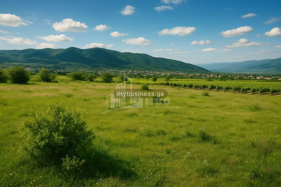 იყიდება მიწის ნაკვეთი (5/9)