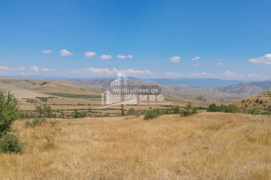 იყიდება მიწის ნაკვეთი კასპში (2/12)