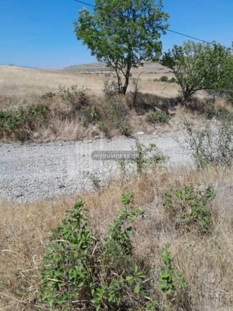 იყიდება მიწის ნაკვეთი კასპში (8/12)