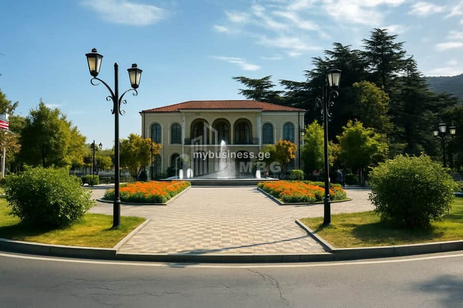 იყიდება კომერციული ფართი (18/20)