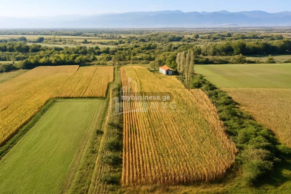 იყიდება მიწის ნაკვეთი კასპში (8/11)