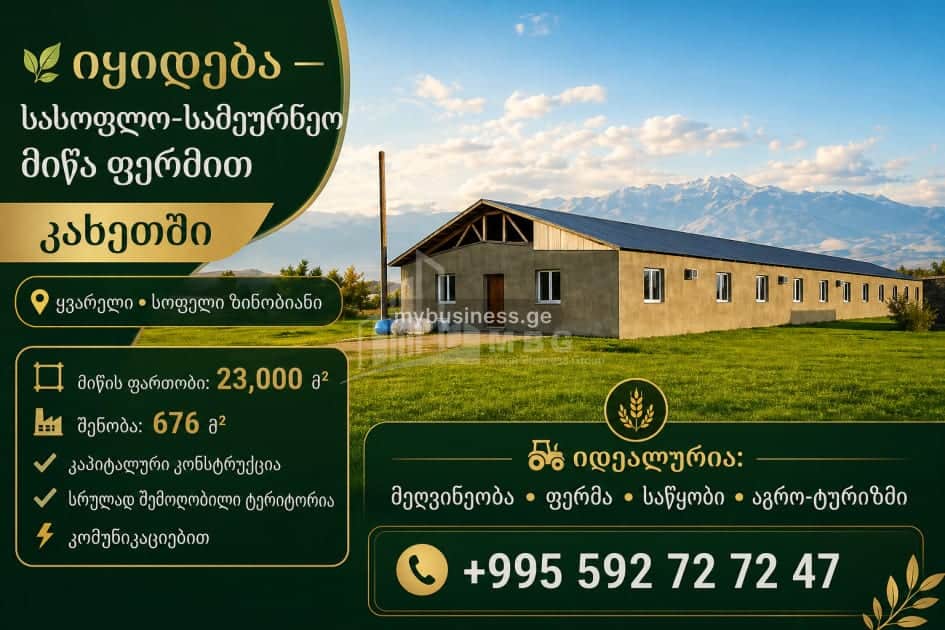 იყიდება მიწის ნაკვეთი ყვარელში (1/12)