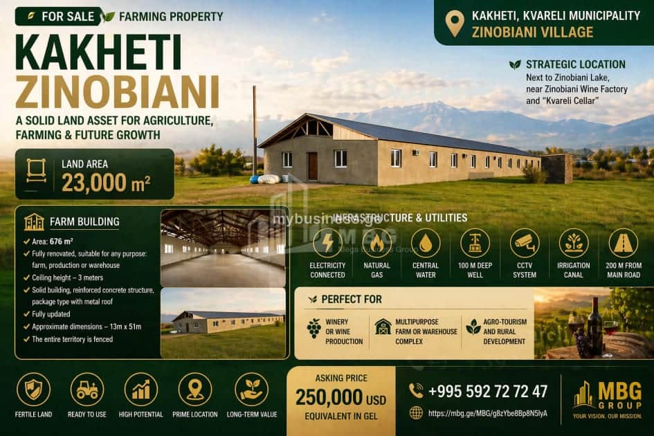 იყიდება მიწის ნაკვეთი ყვარელში (2/12)