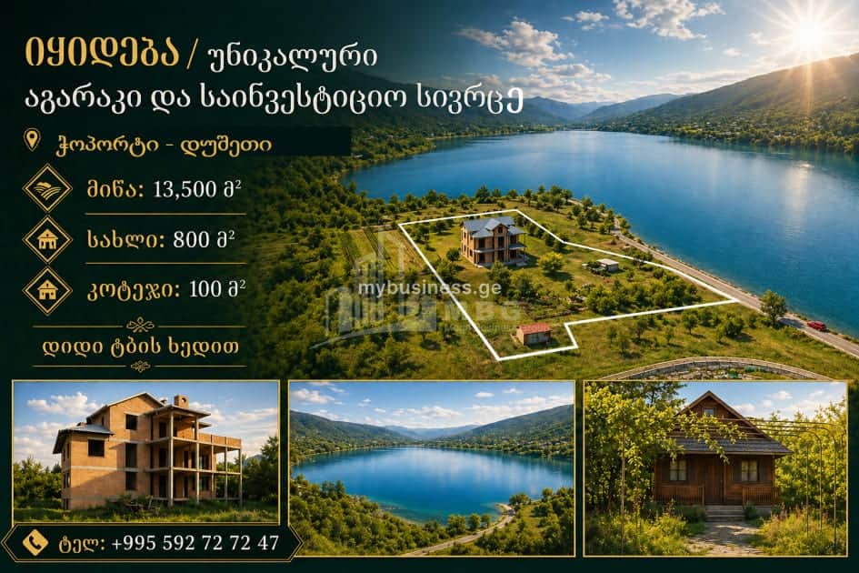 იყიდება მიწის ნაკვეთი დუშეთში (1/20)